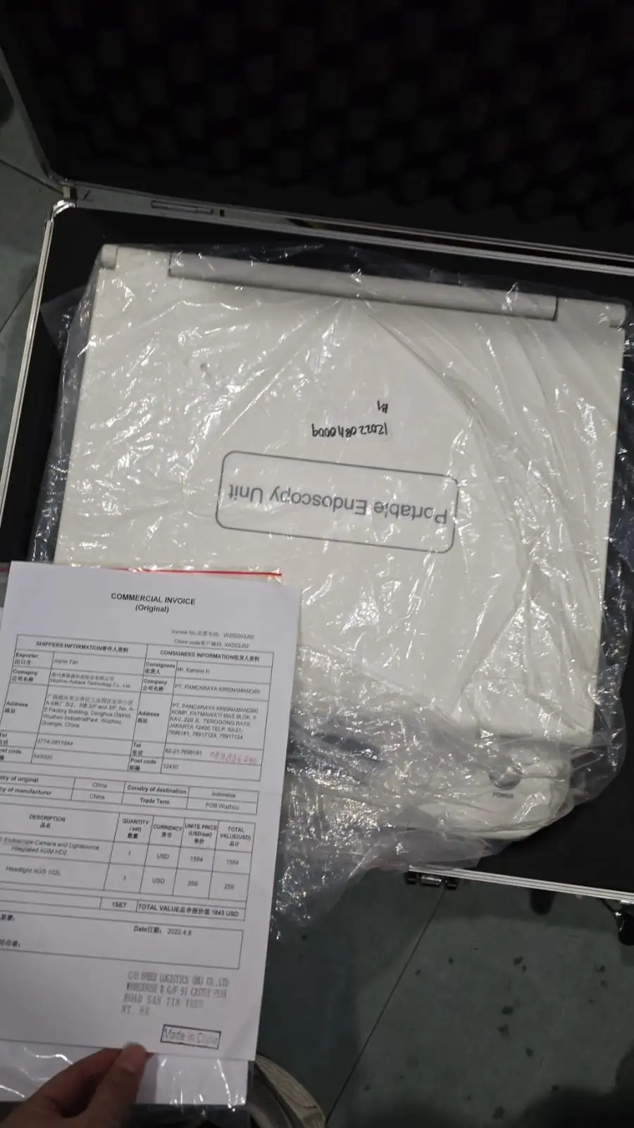portable endoscopy