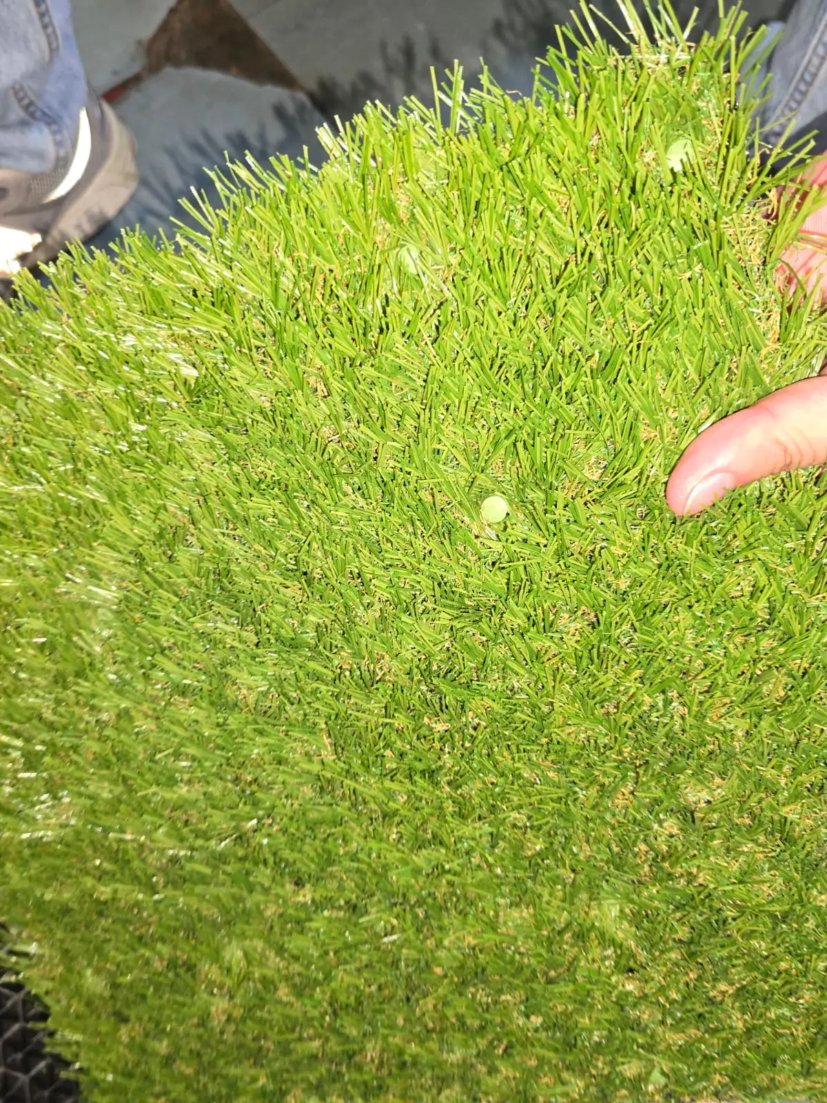 Thumbnail - 3